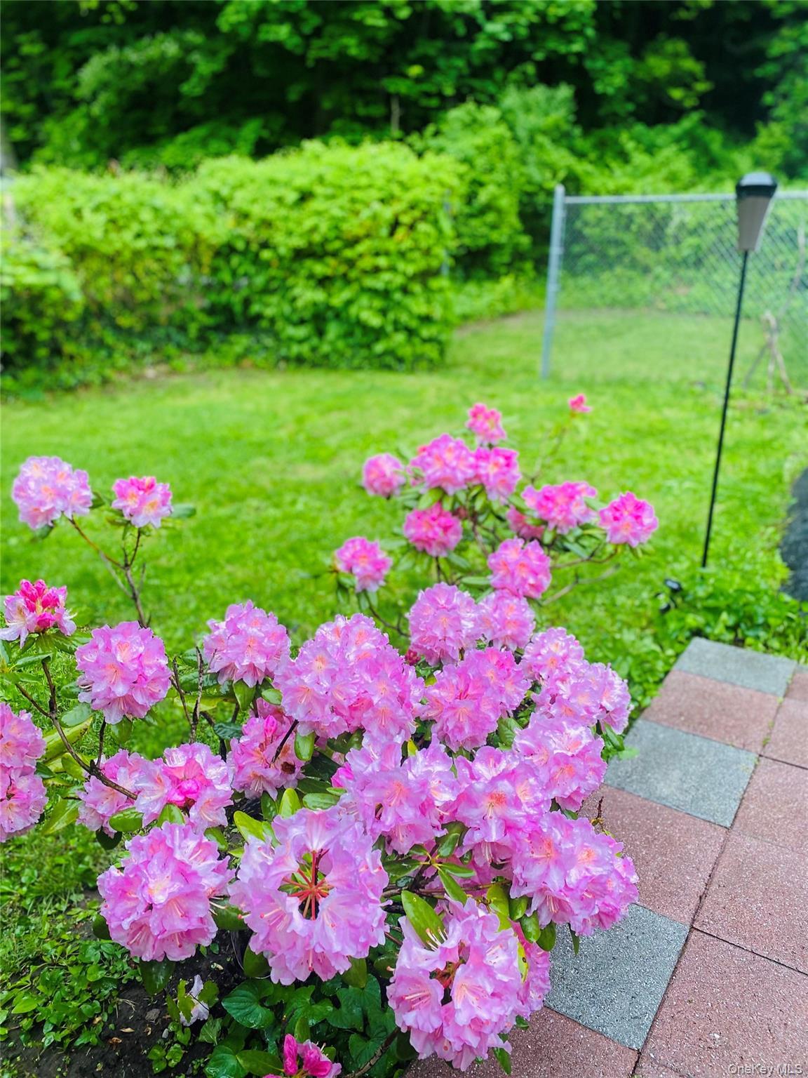 Single Family Touissant  Westchester County, NY 10710, MLS-839282-4