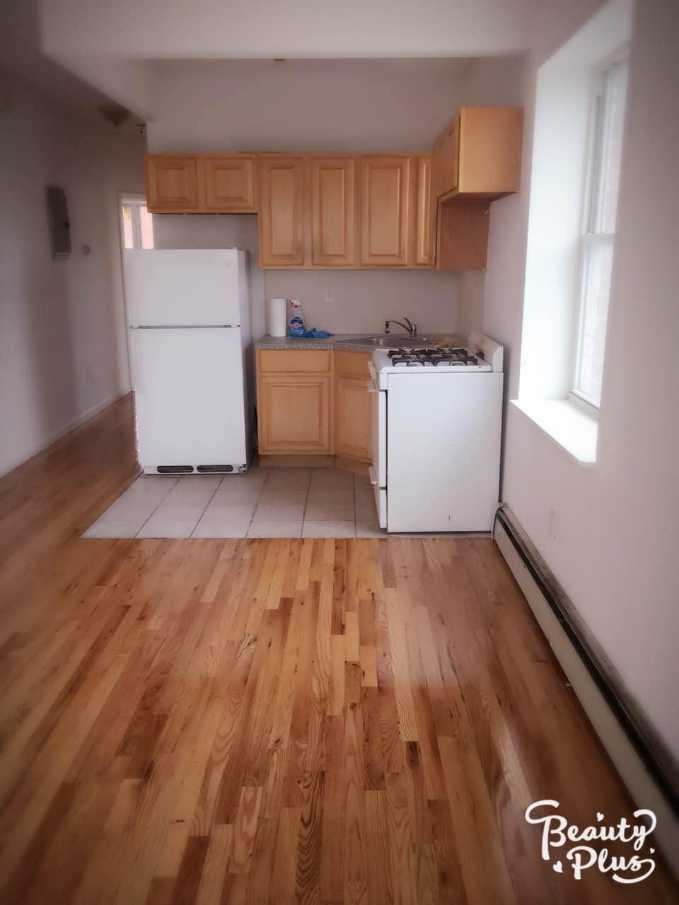 Single Family Ashford  Brooklyn, NY 11207, MLS-839420-3