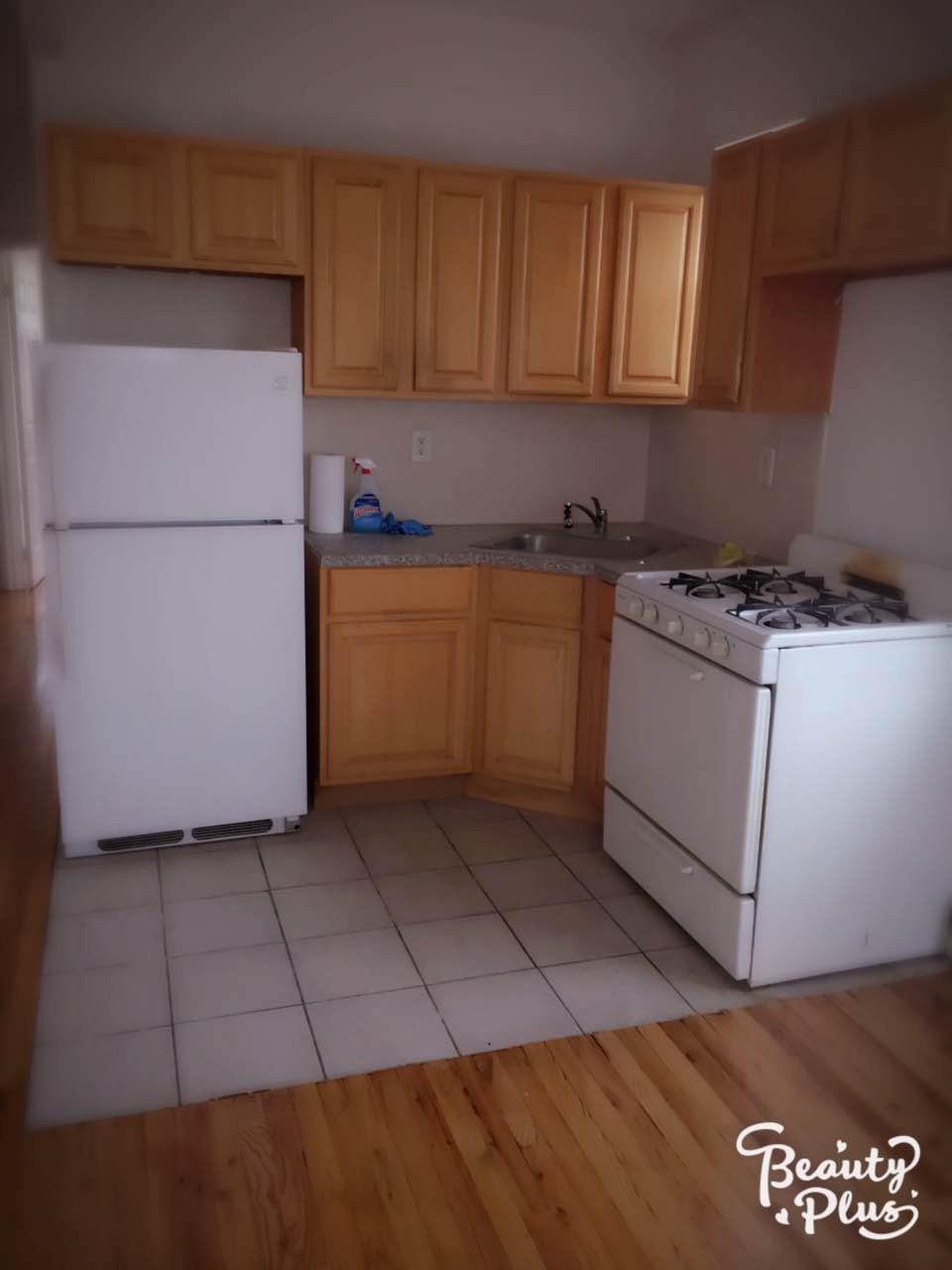 Single Family Ashford  Brooklyn, NY 11207, MLS-839420-4