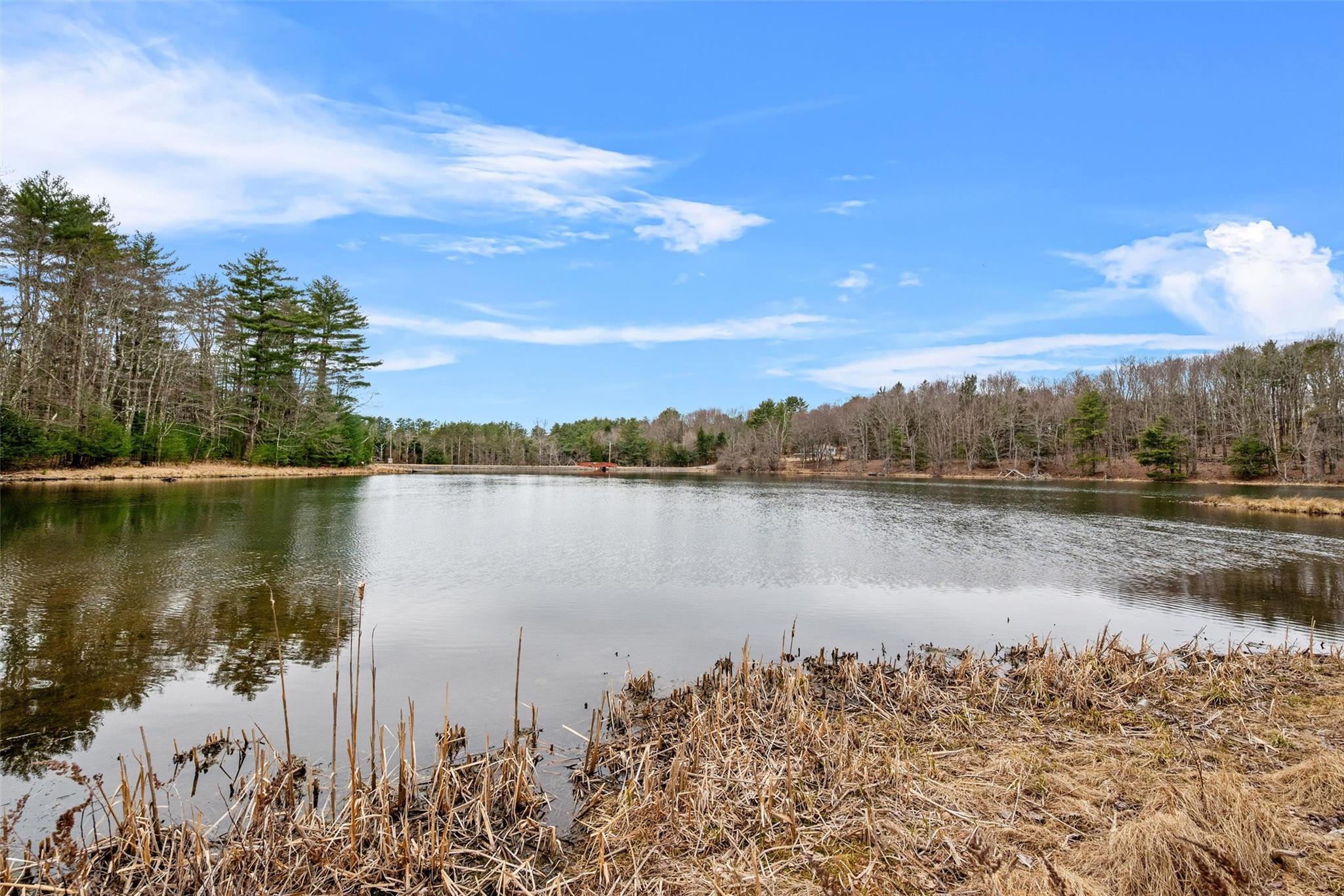 Single Family Bristol  Sullivan County, NY 12775, MLS-839873-43