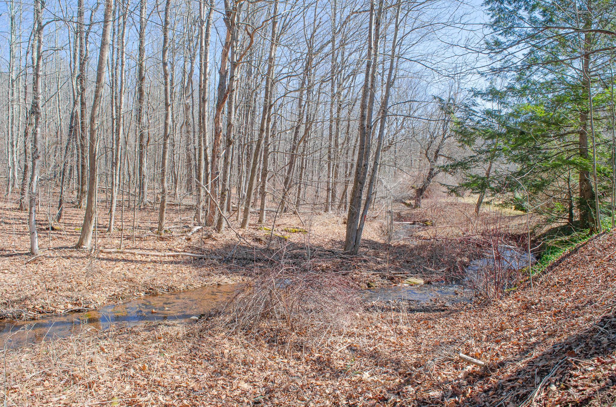 Single Family Old Road  Greene County, NY 12439, MLS-839893-29