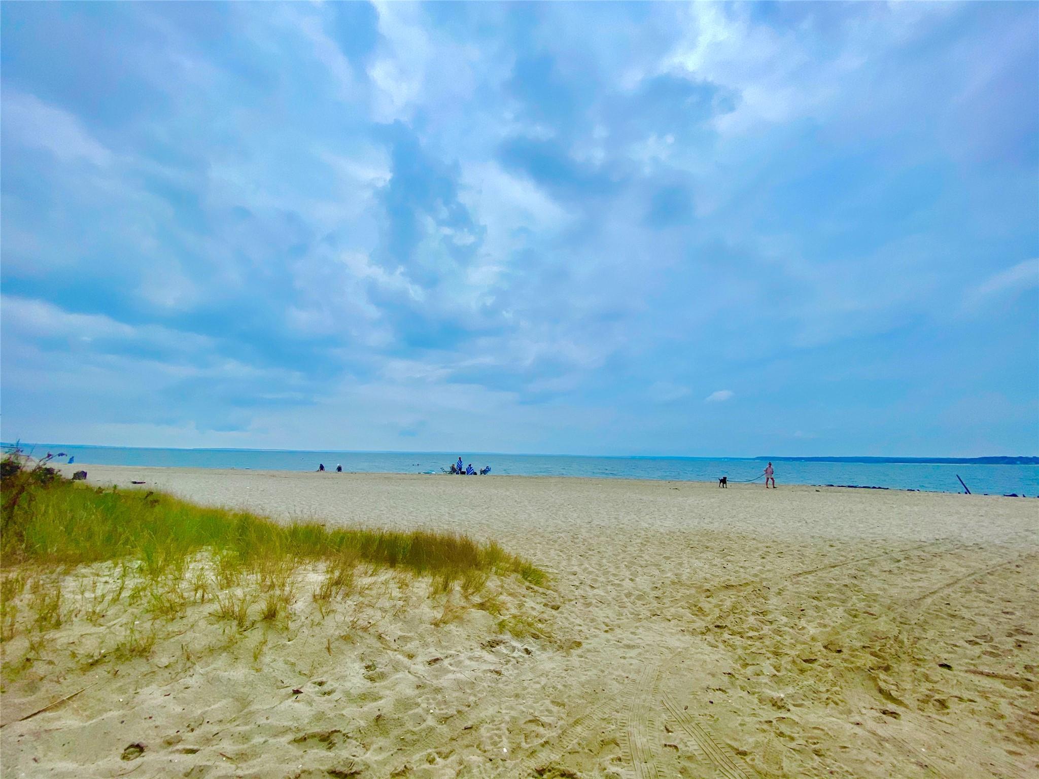 Single Family Manor  Suffolk County, NY 11901, MLS-840299-16