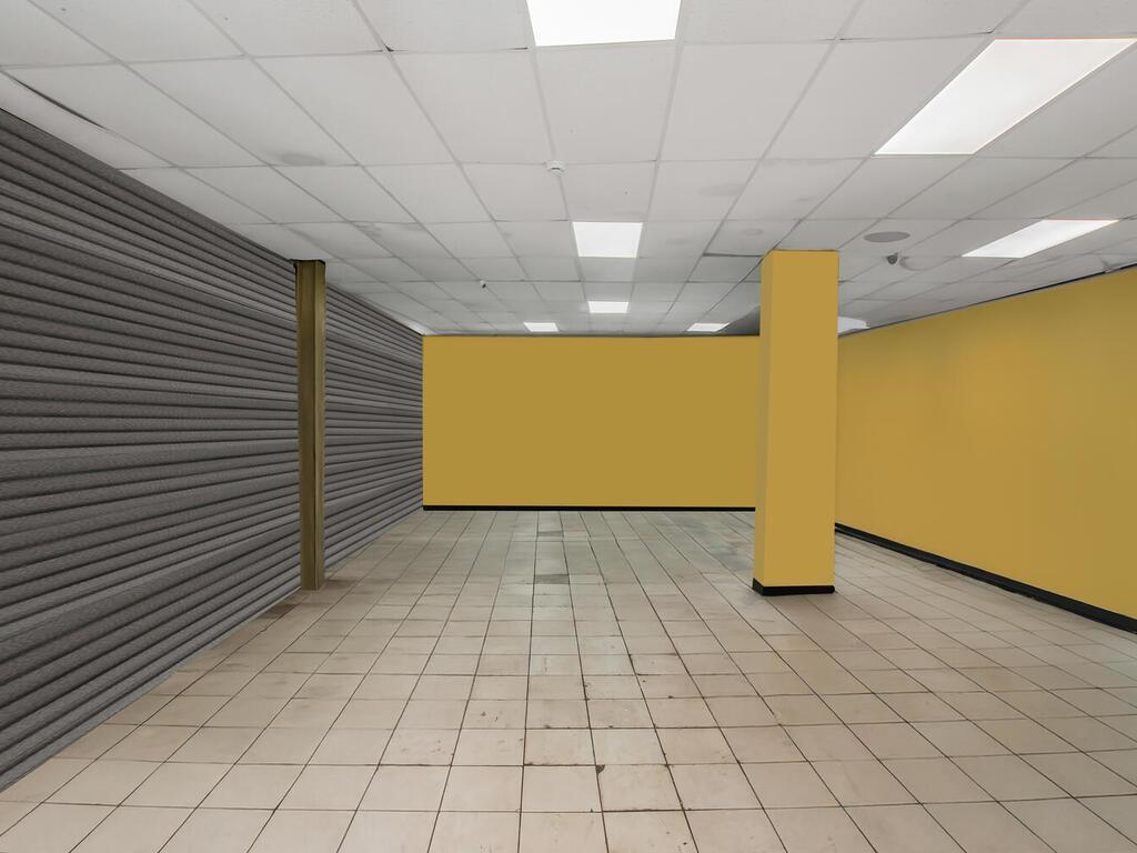 Commercial Sale Fulton  Brooklyn, NY 11207, MLS-840444-14