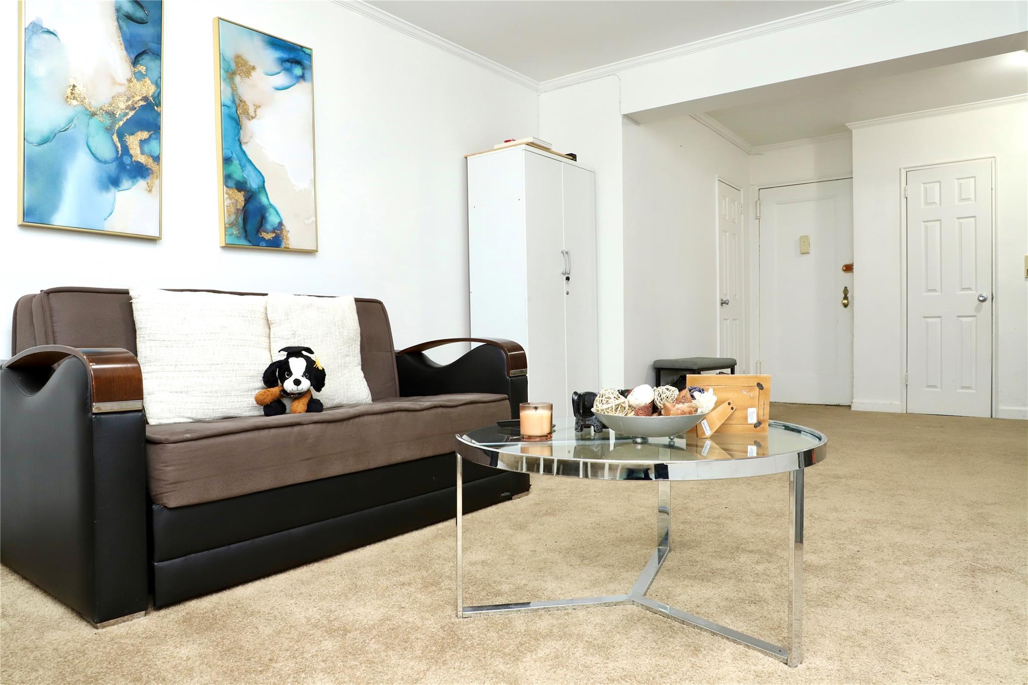 Coop 72nd Rd  Queens, NY 11367, MLS-840458-8