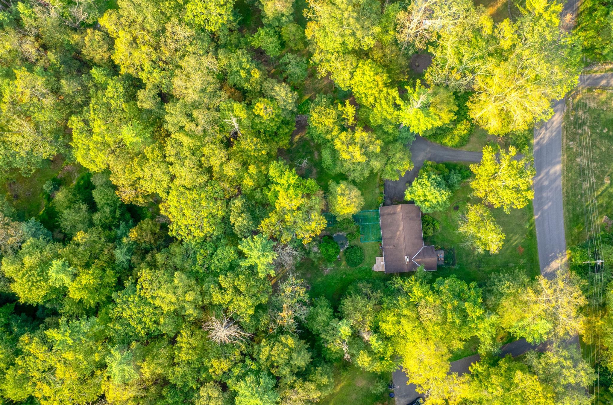 Single Family Forestwood  Ulster County, NY 12498, MLS-840523-46