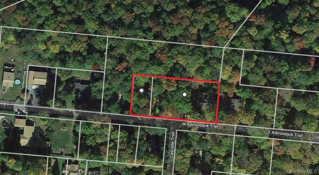 Single Family Adirondack  Sullivan County, NY 12778, MLS-841154-27