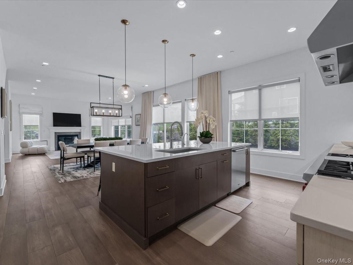 Condo Sequoia  Nassau County, NY 11030, MLS-841277-17