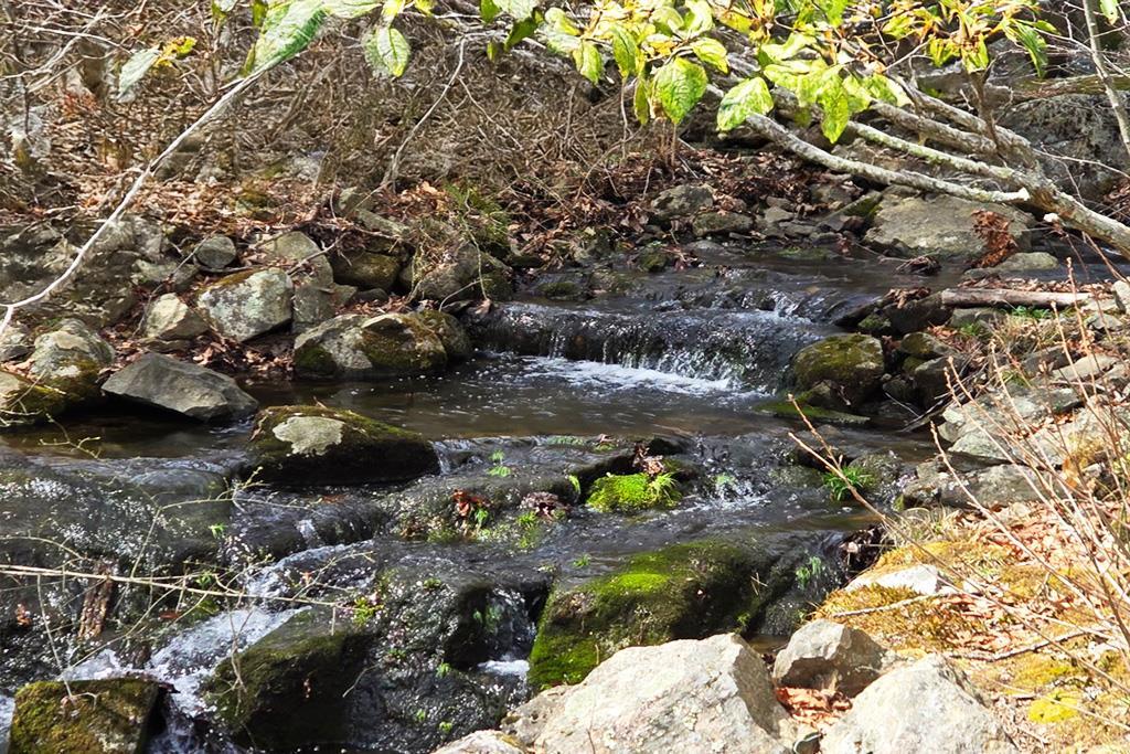 Single Family Mountain Farm  Orange County, NY 10987, MLS-841498-11