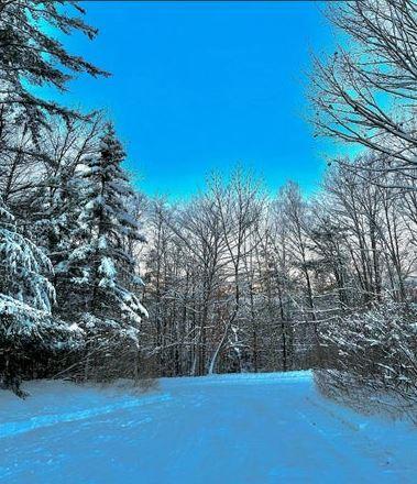 Single Family Bluebird  Warren County, NY 12846, MLS-841541-35