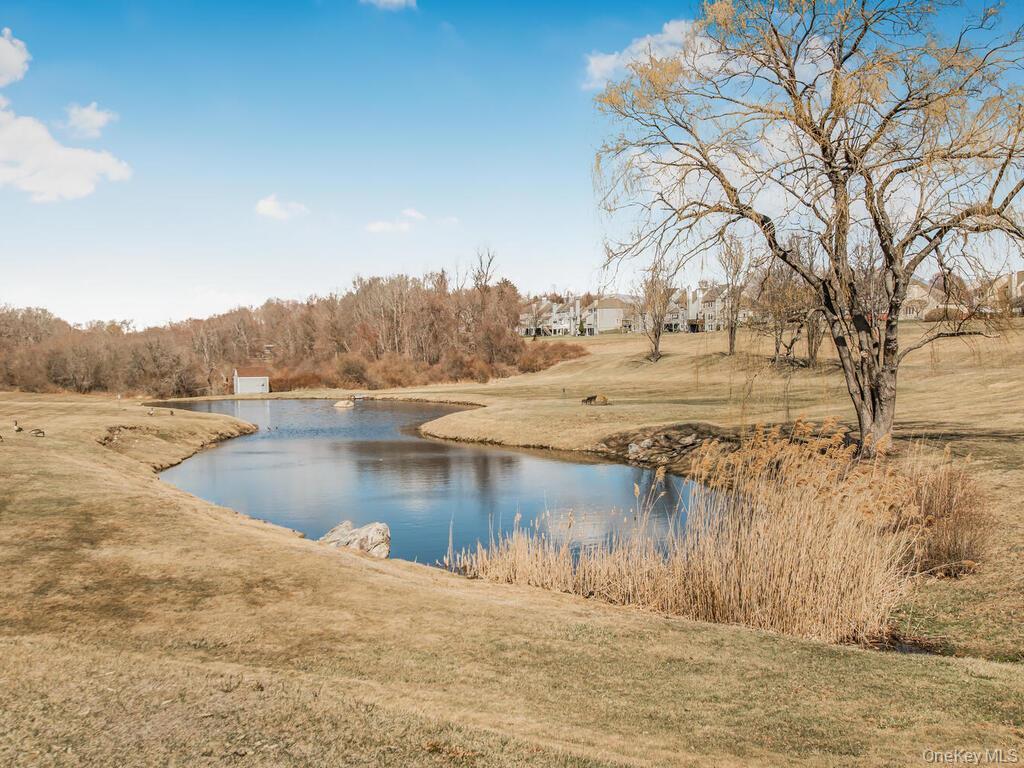 Single Family Fairway  Putnam County, NY 10512, MLS-841597-26