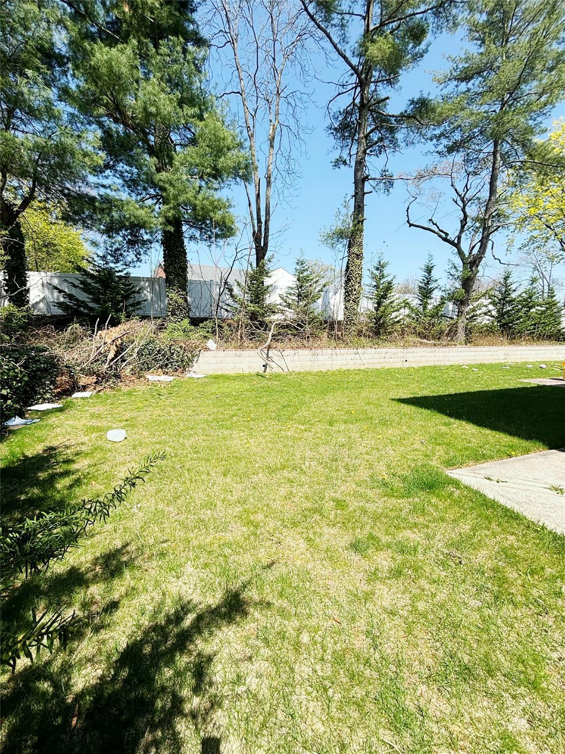 Single Family Ellen  Nassau County, NY 11753, MLS-841649-3