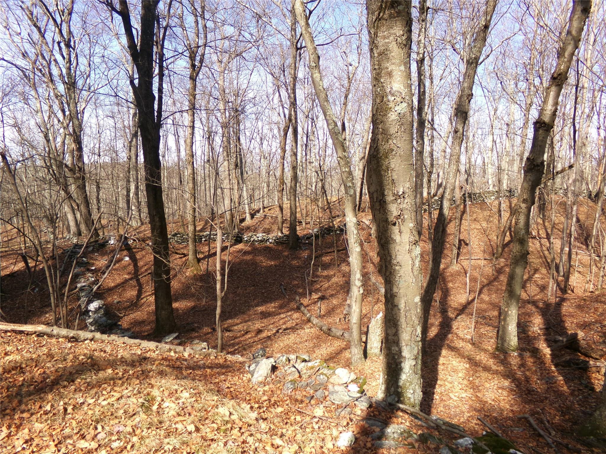Single Family Hicks Hill  Dutchess County, NY 12582, MLS-841902-36