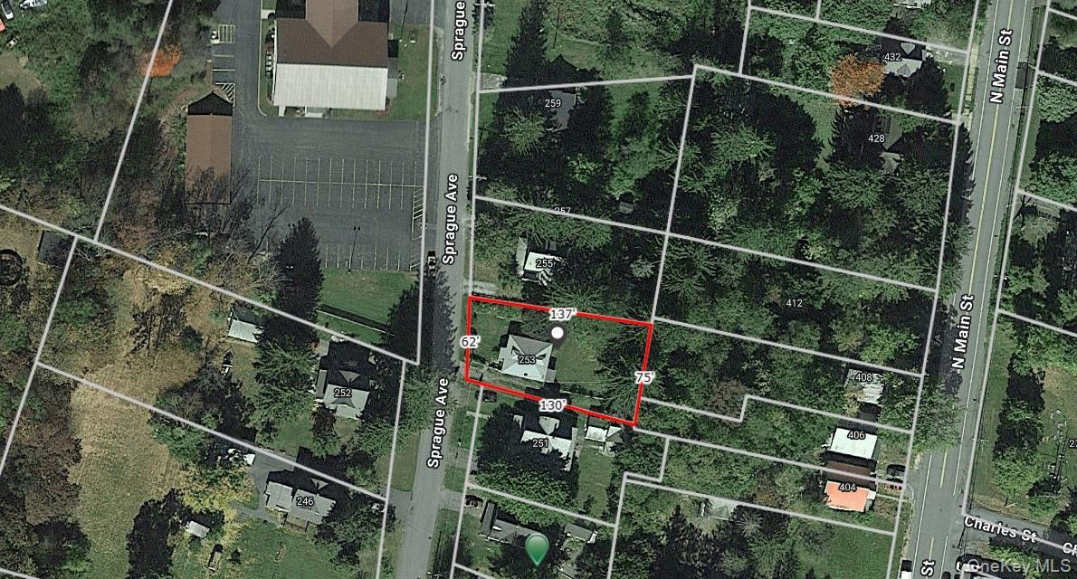 Single Family Sprague  Sullivan County, NY 12754, MLS-841966-38