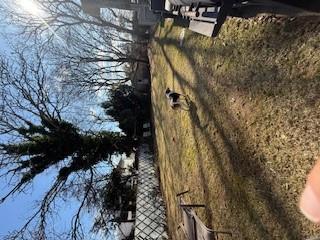 Single Family Berrywood  Nassau County, NY 11552, MLS-842023-14