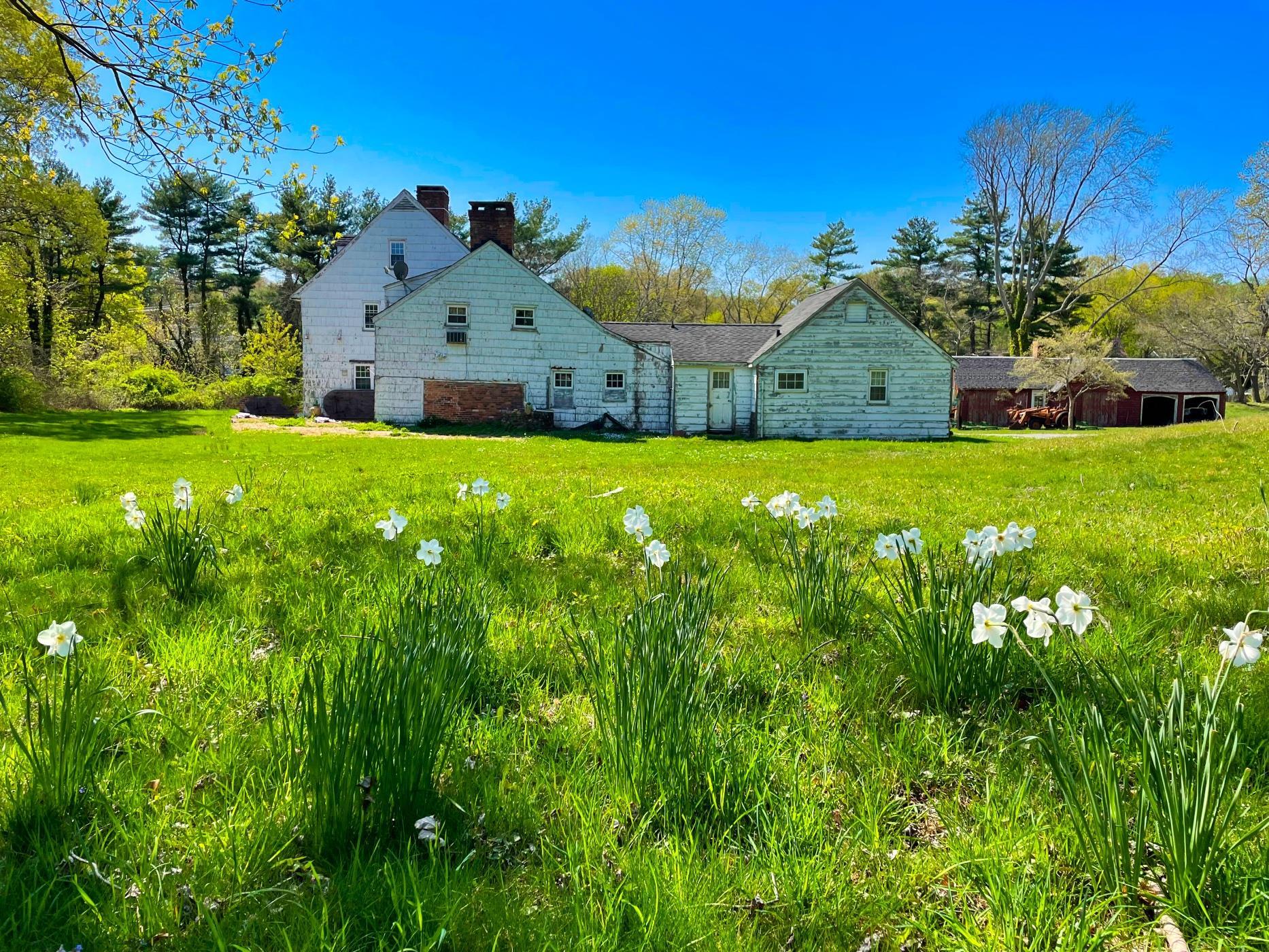 Single Family Deer Park  Suffolk County, NY 11746, MLS-842036-5