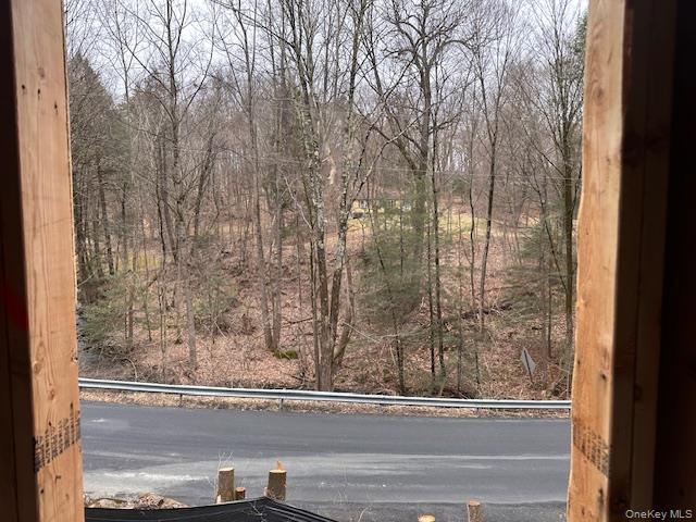 Single Family Millbrook Ulster County, NY 12429, MLS-842184-3