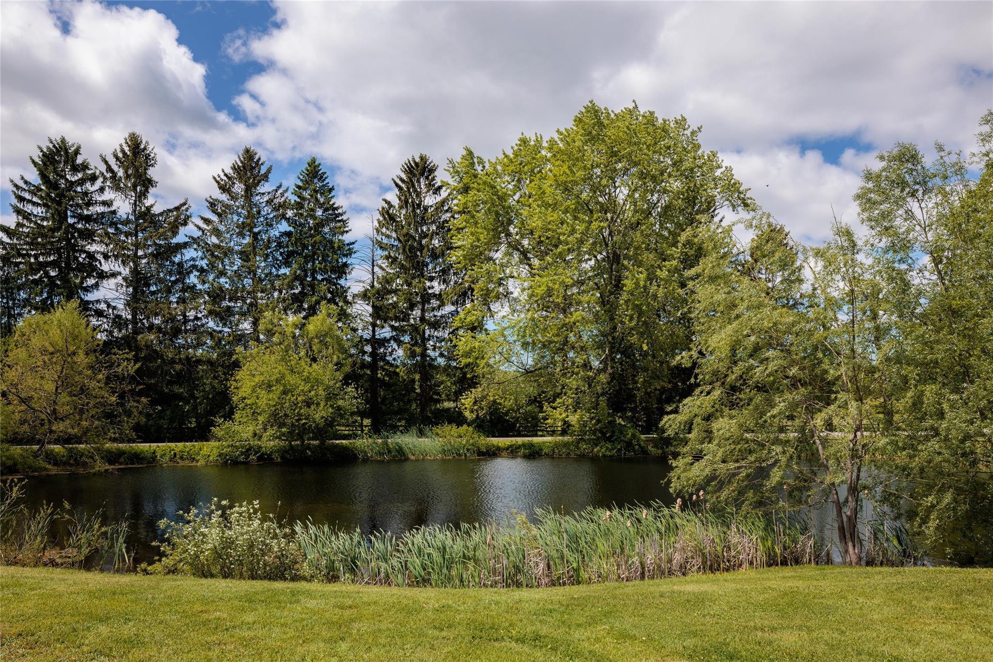 Single Family Rowe  Dutchess County, NY 12571, MLS-842275-30