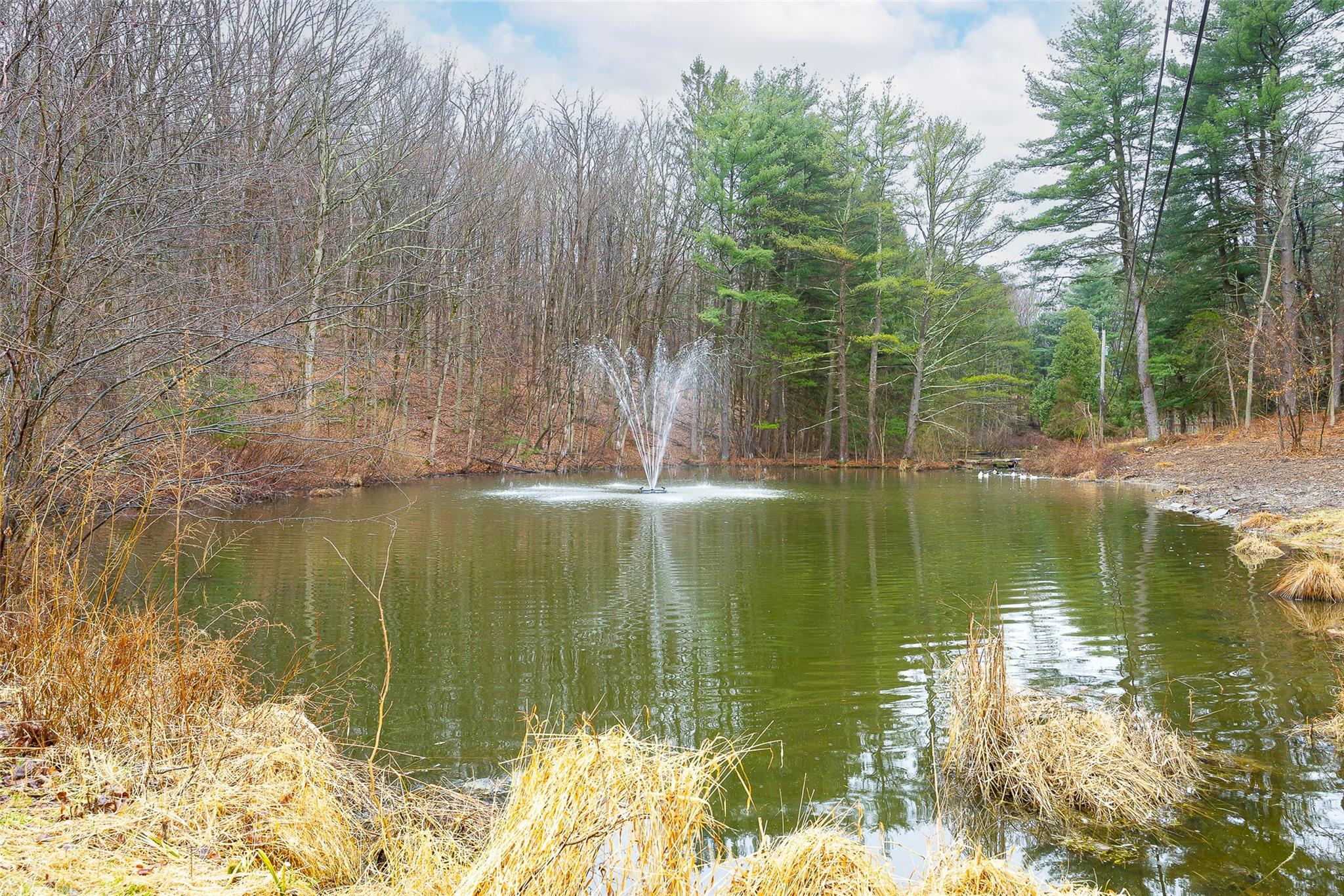 Single Family Davis  Dutchess County, NY 12578, MLS-842335-32