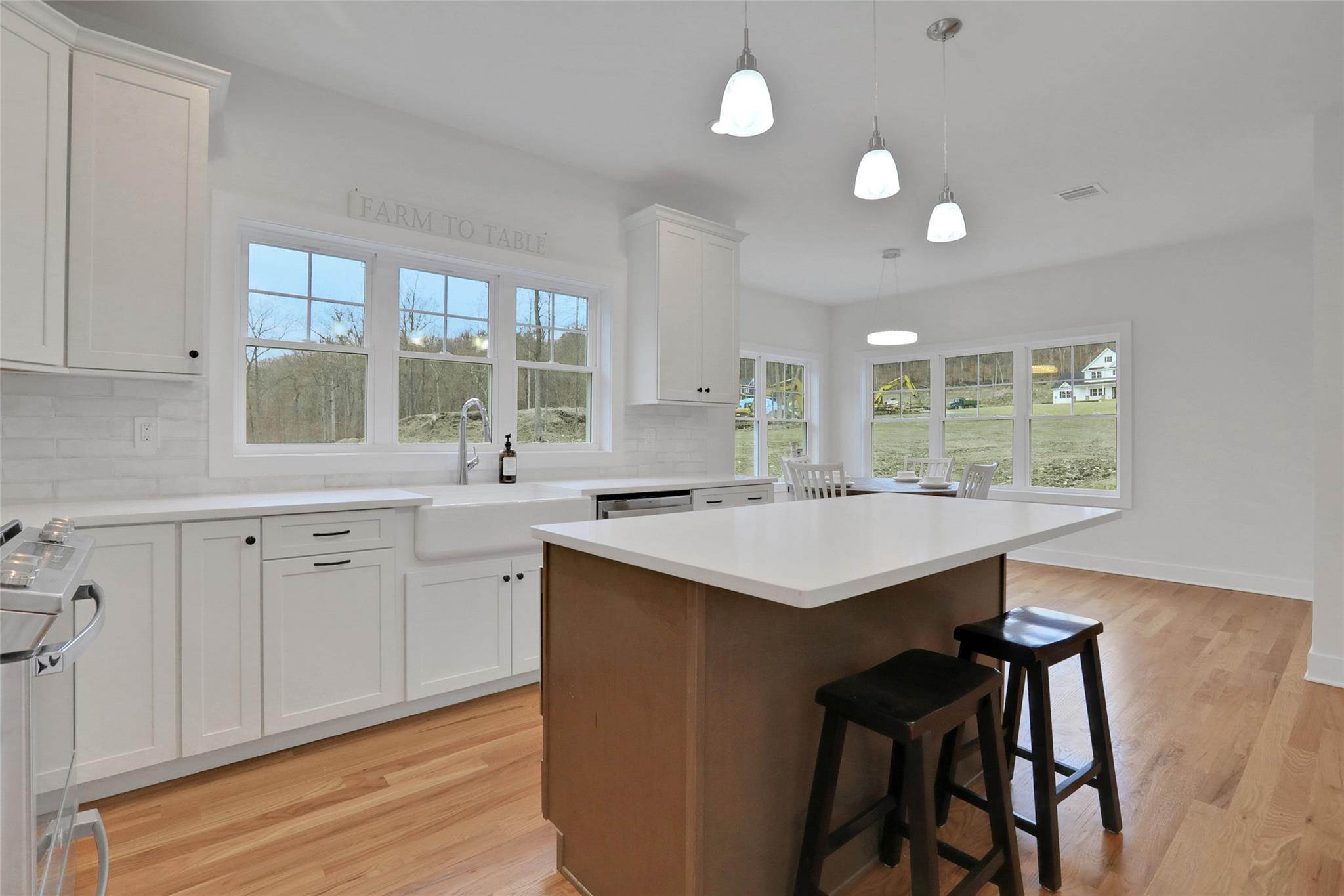 Single Family Frank  Orange County, NY 12553, MLS-842362-20