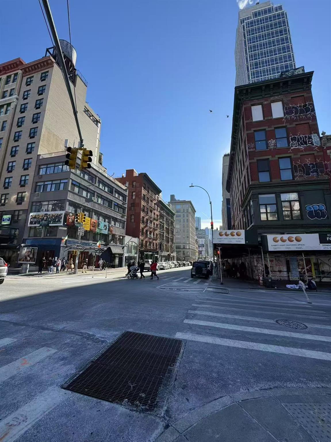 Commercial Sale Grand  Manhattan, NY 10013, MLS-842461-5
