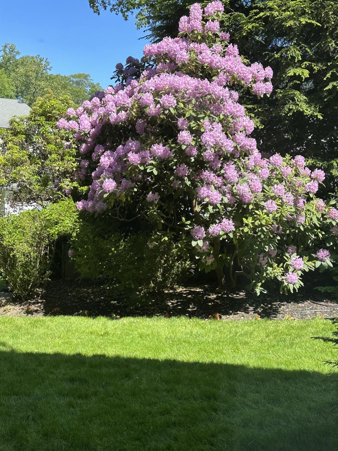 Single Family Greenvale  Westchester County, NY 10583, MLS-842598-28