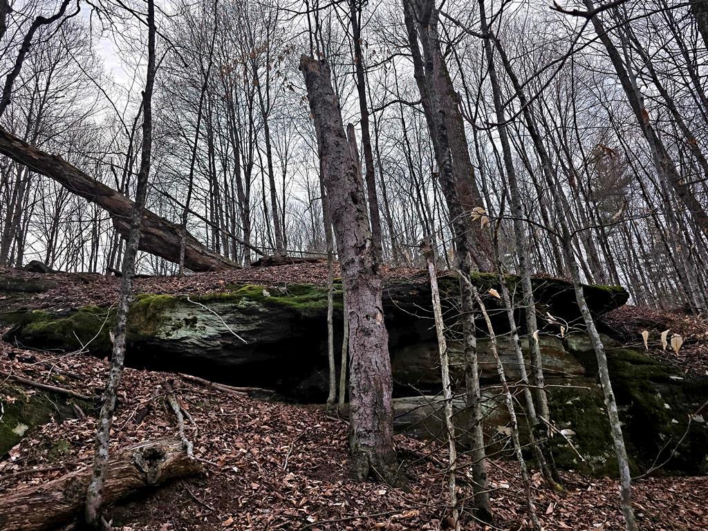 Single Family Benton Hollow  Sullivan County, NY 12788, MLS-843031-45