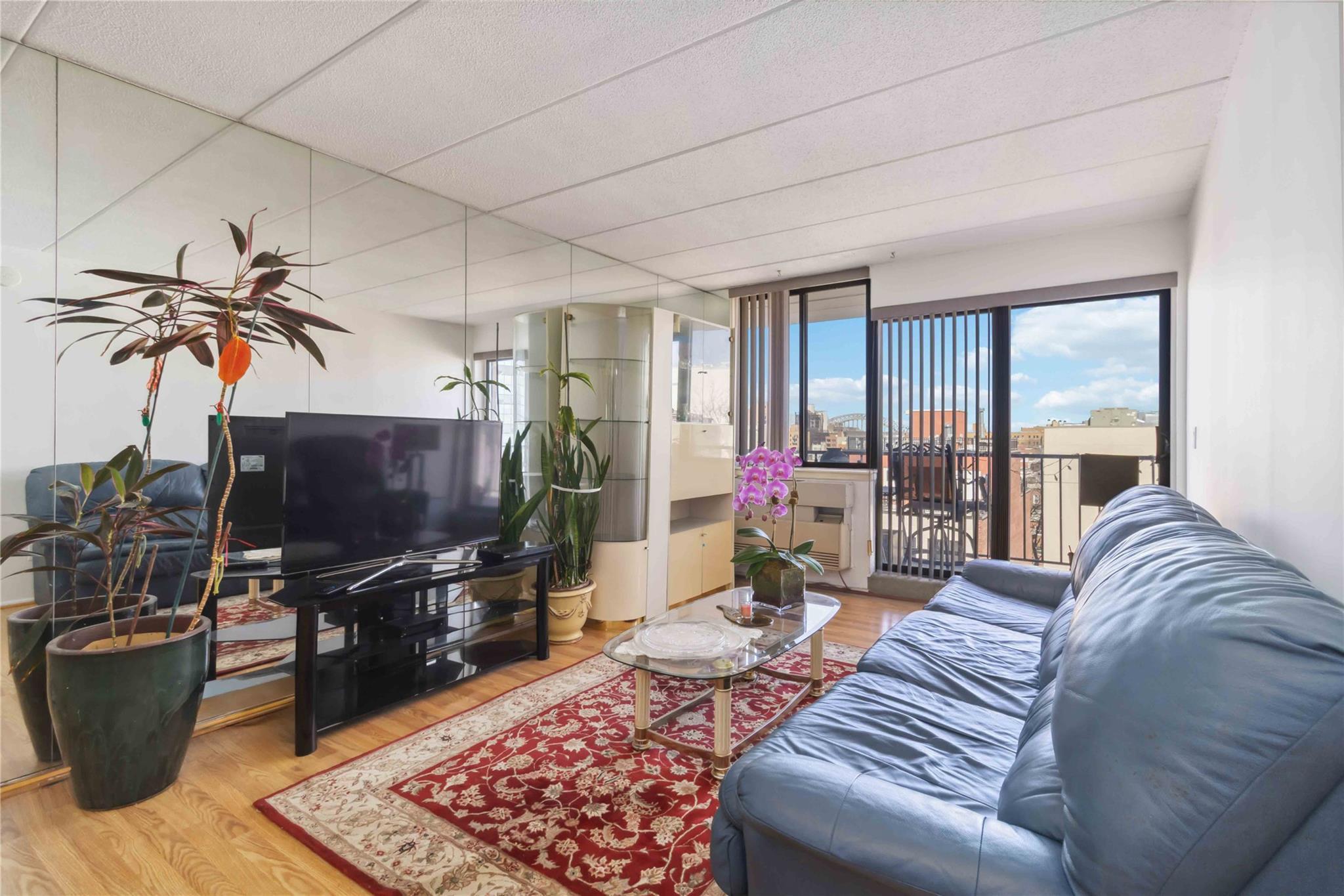 Condo 30  Queens, NY 11102, MLS-843108-2
