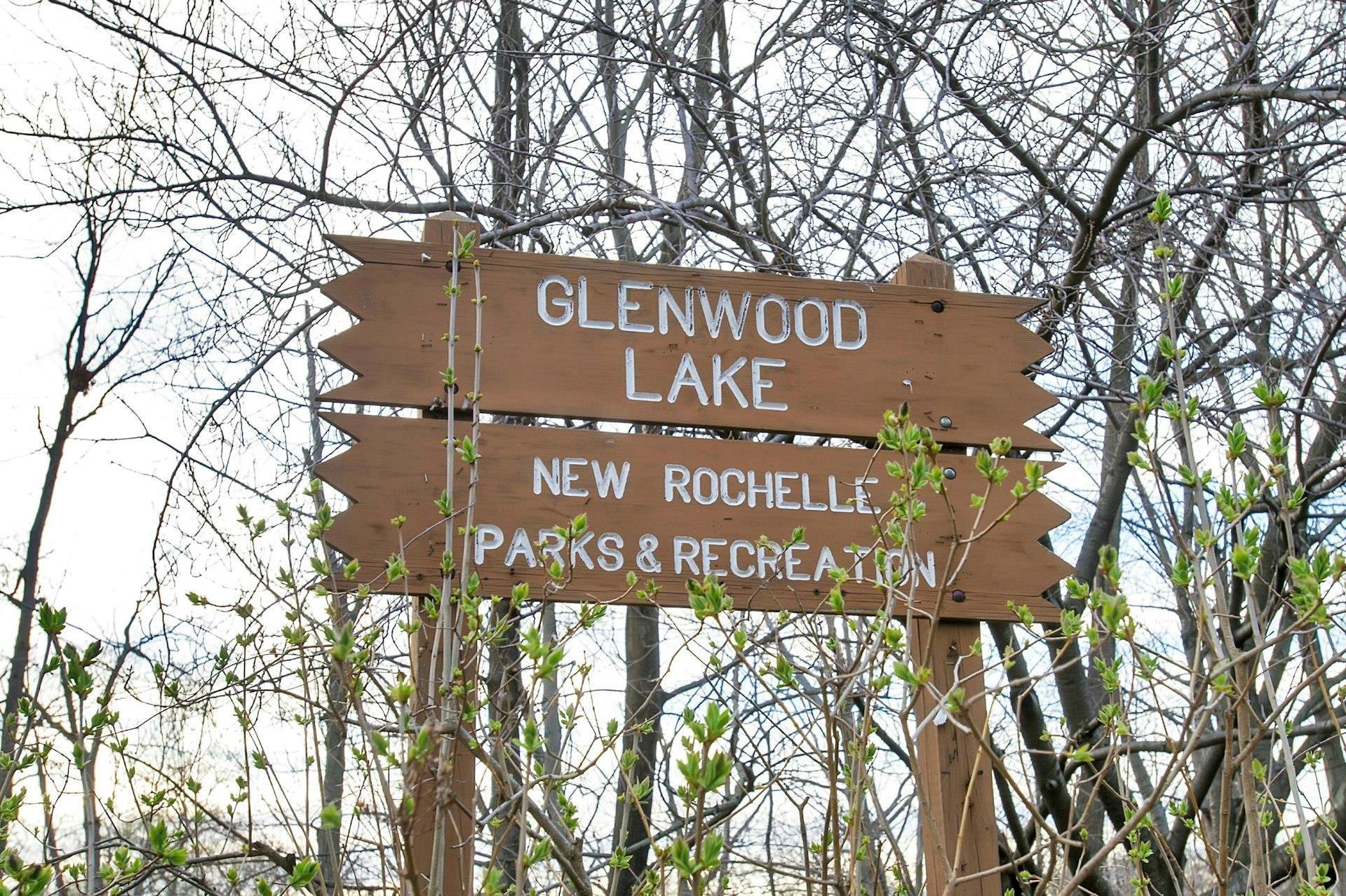 Single Family Glenmore  Westchester County, NY 10801, MLS-843245-48