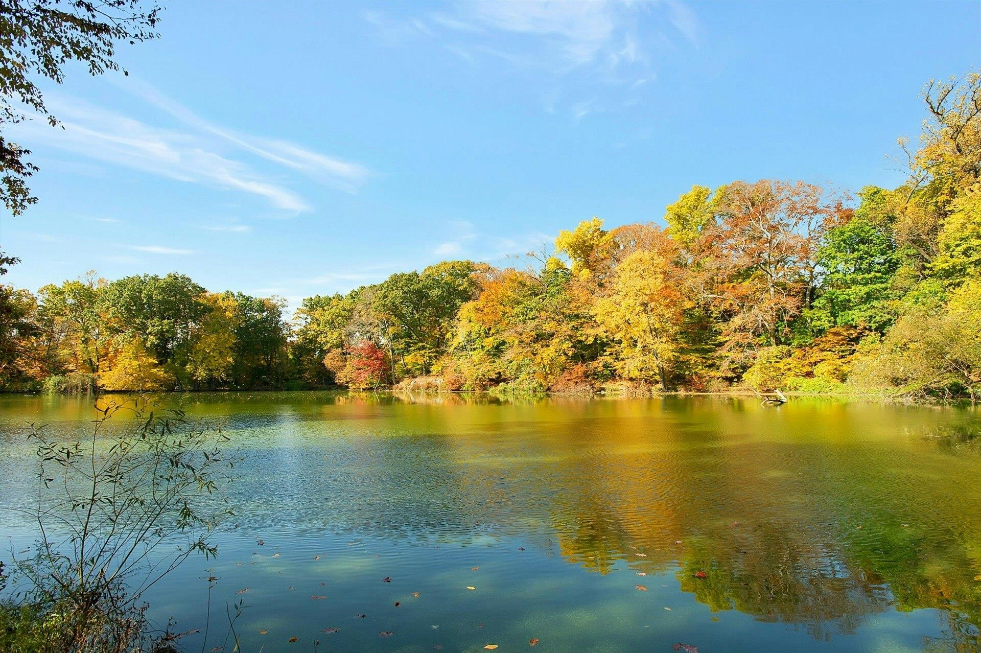 Single Family Glenmore  Westchester County, NY 10801, MLS-843245-49