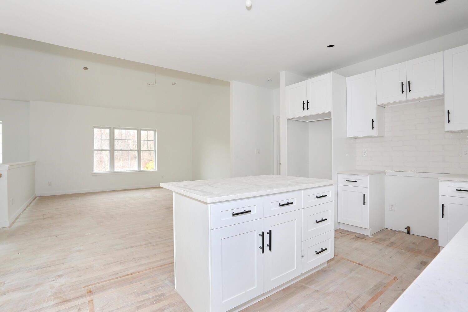 Single Family Rd  Ulster County, NY 12561, MLS-843354-21