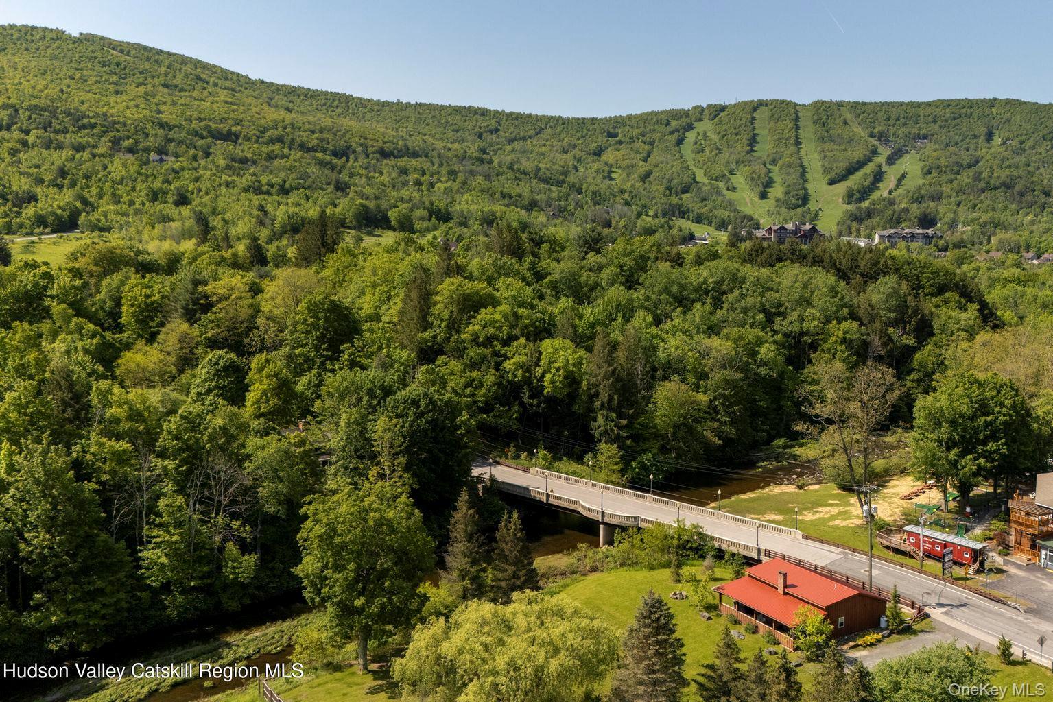 Single Family County Route 79  Greene County, NY 12496, MLS-843501-29