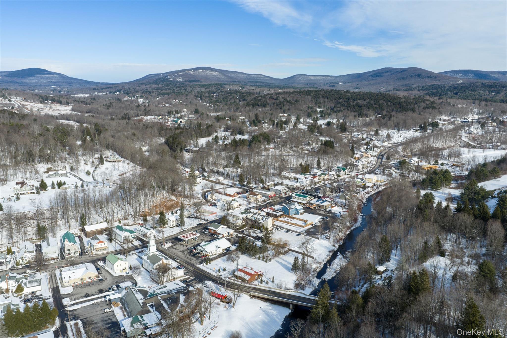 Single Family County Route 79  Greene County, NY 12496, MLS-843501-39