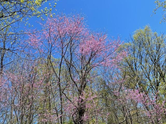 Single Family County Route 6  Ulster County, NY 12440, MLS-843561-40