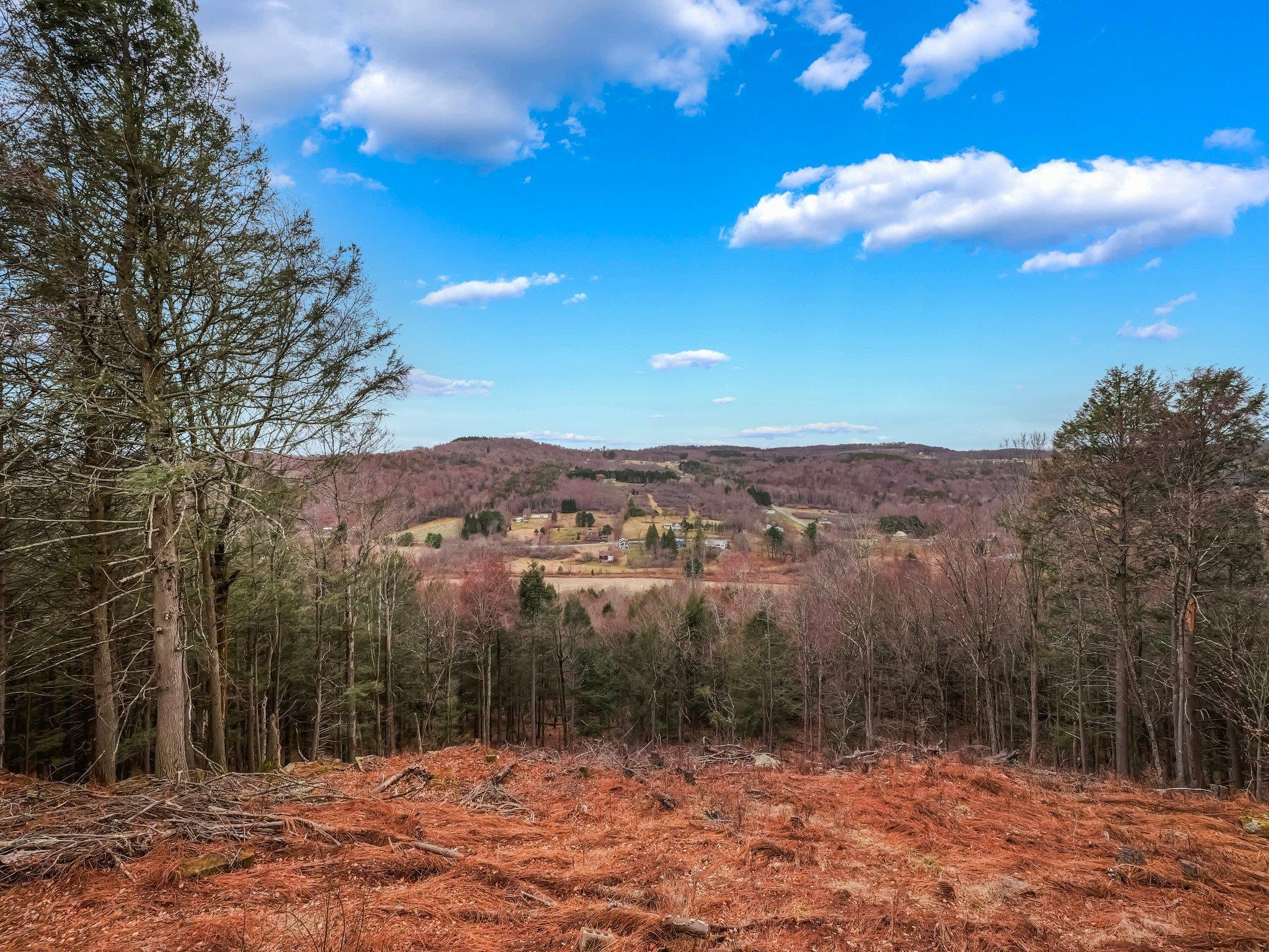 Single Family Boband  Sullivan County, NY 12748, MLS-843588-30
