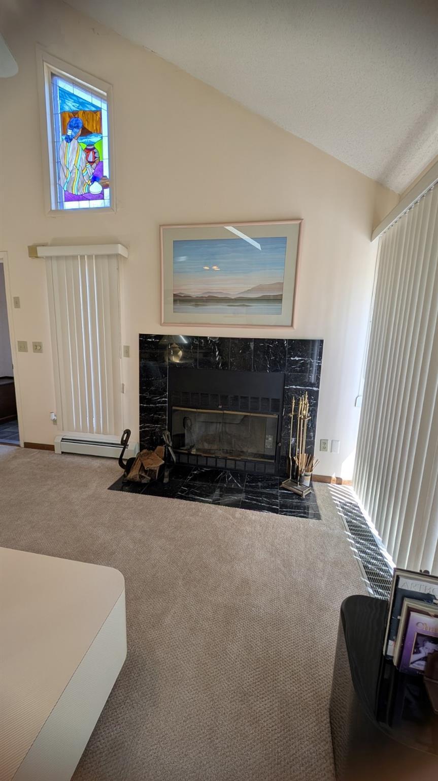Single Family Water Lilly  Sullivan County, NY 12701, MLS-843670-11