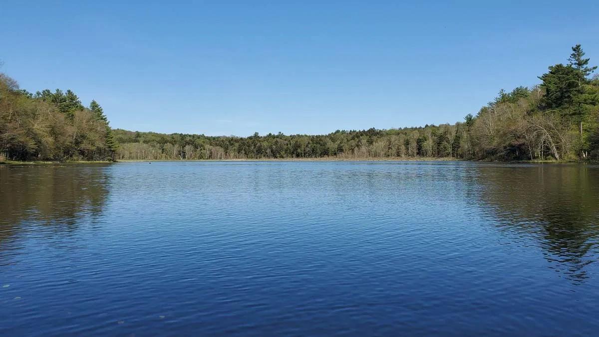 Single Family Water Lilly  Sullivan County, NY 12701, MLS-843670-29