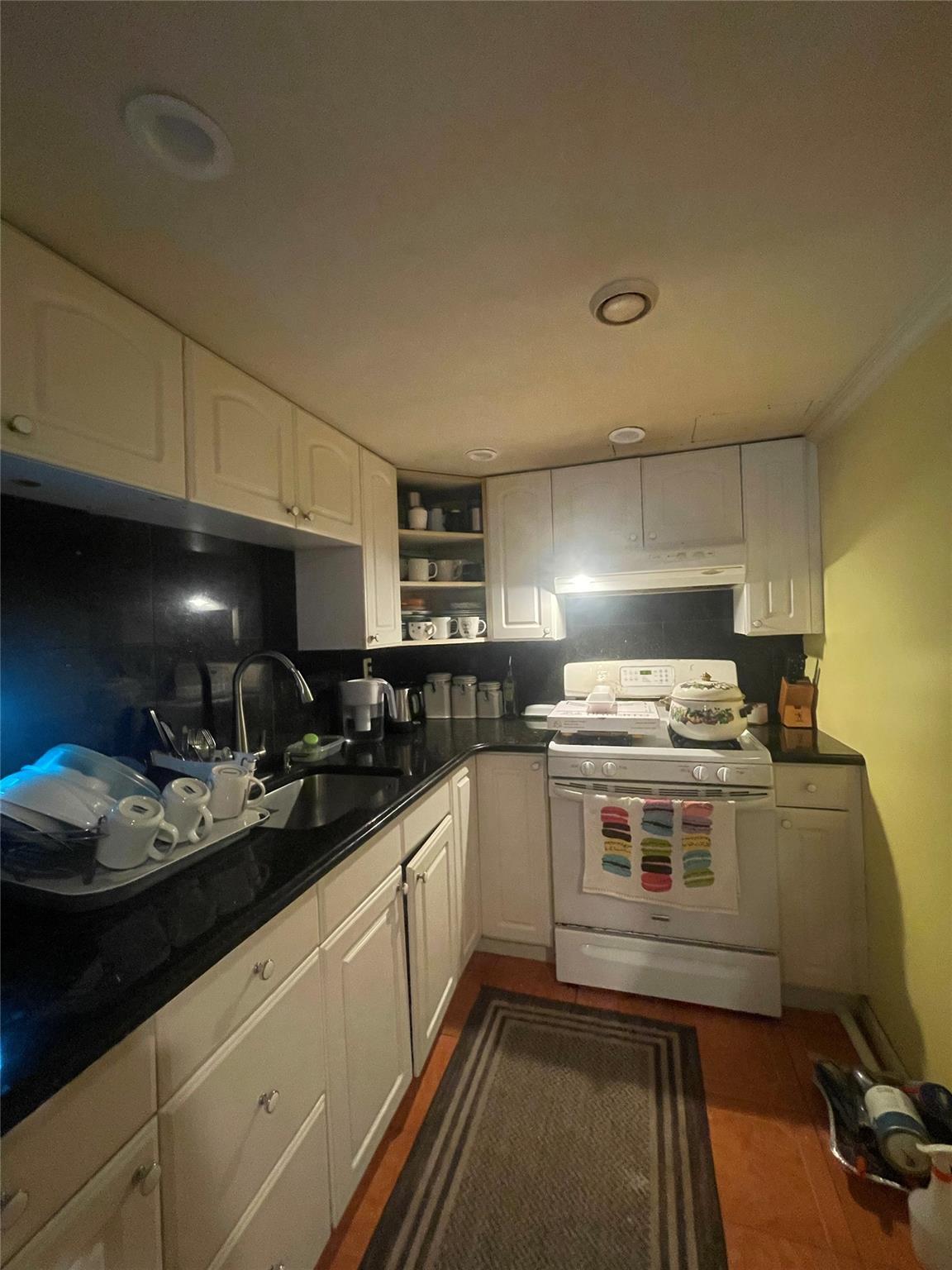 Single Family Hillsboro  Nassau County, NY 11003, MLS-843682-10