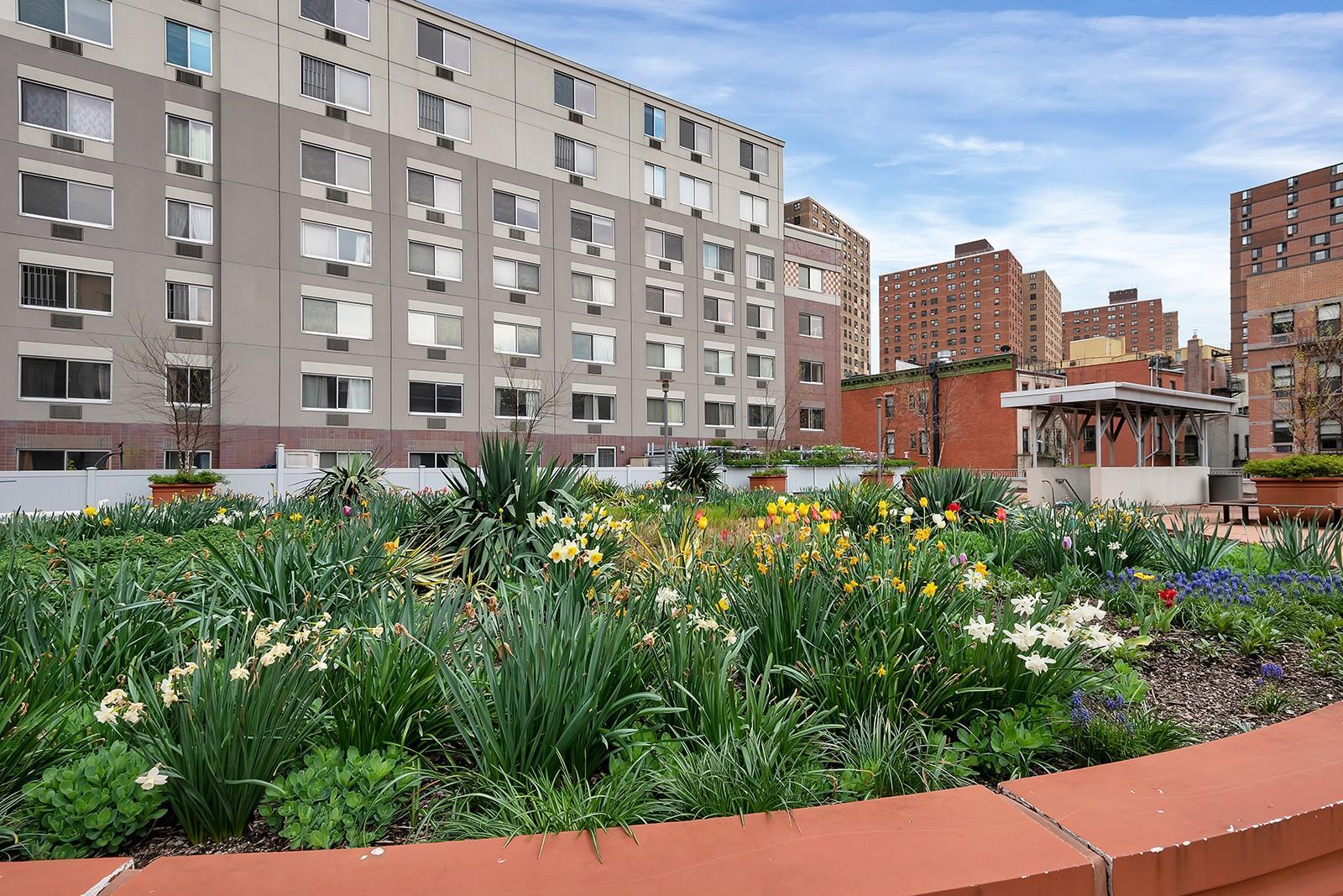Condo 145th  Manhattan, NY 10039, MLS-843840-11