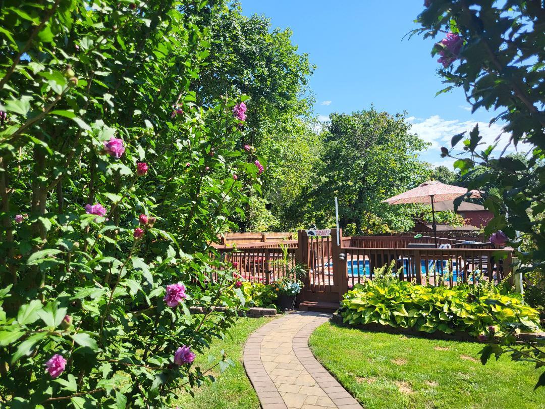 Single Family Wilson  Nassau County, NY 11710, MLS-844026-2