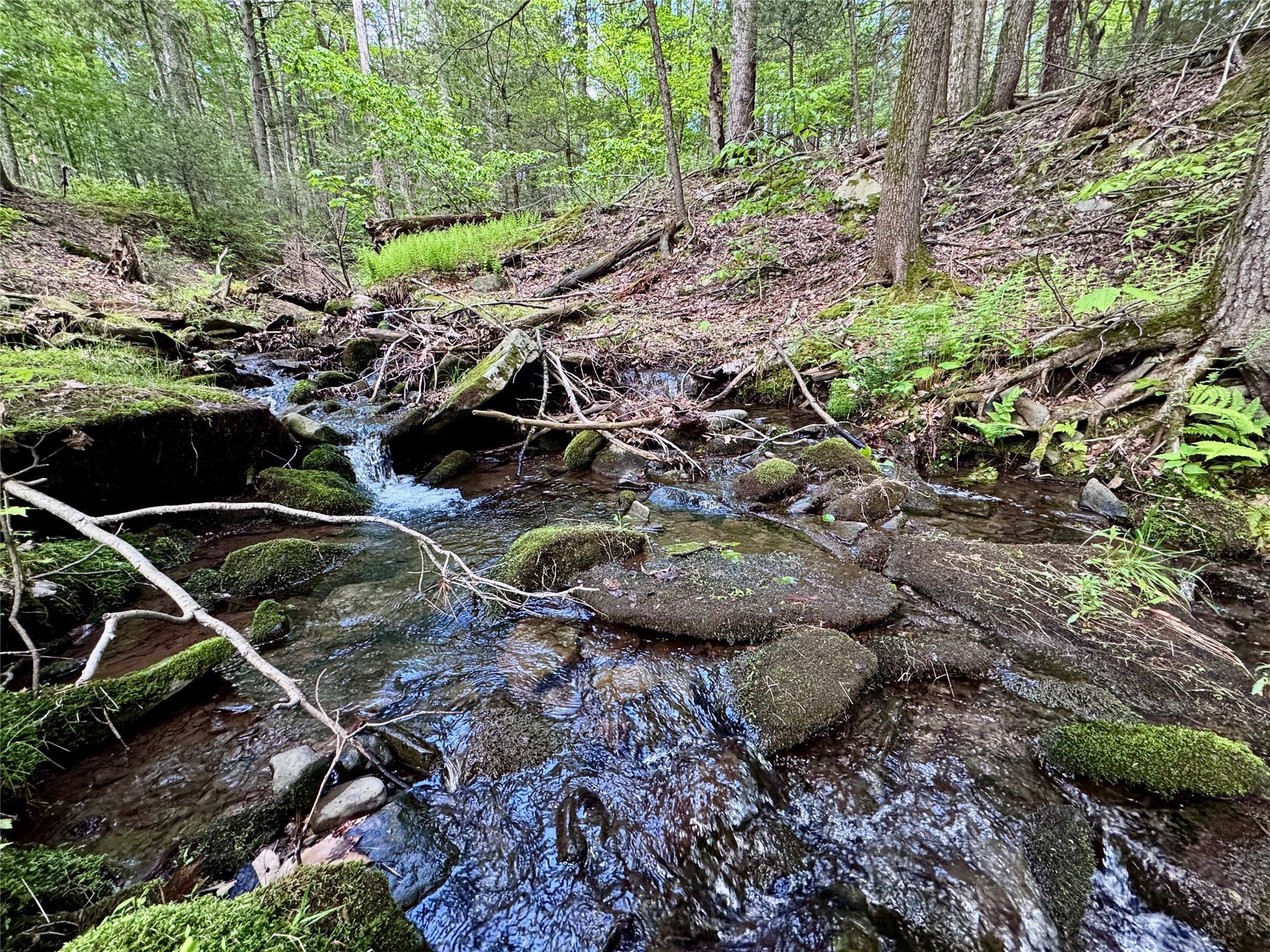 Single Family The Middle  Ulster County, NY 12457, MLS-844209-29