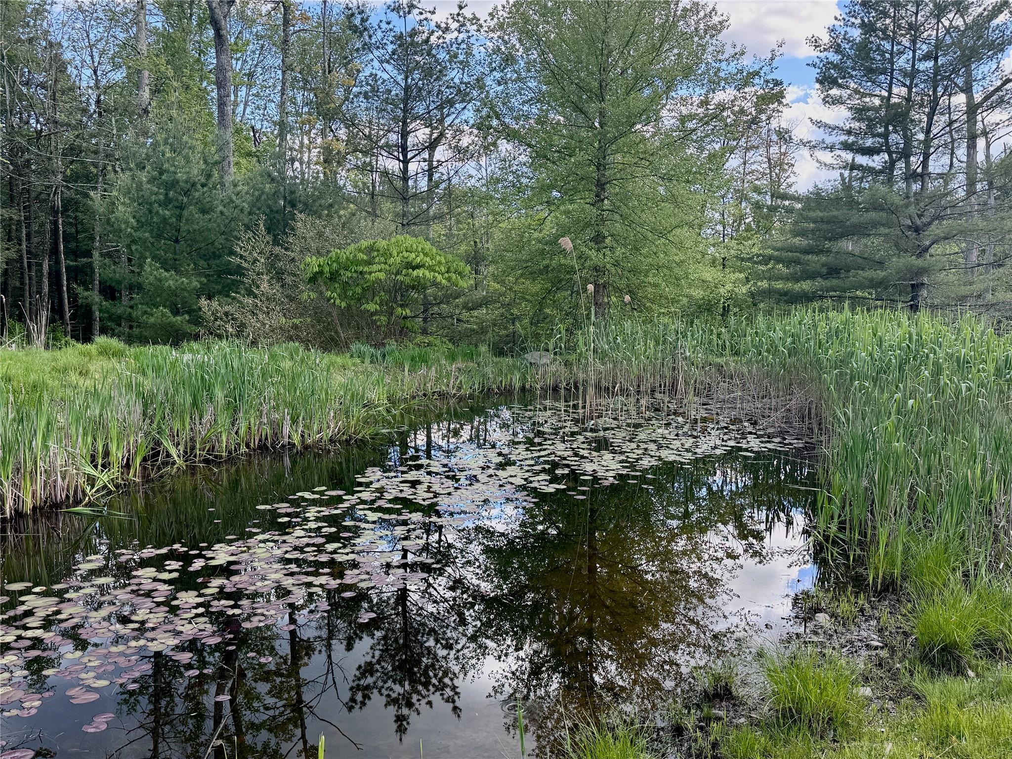Single Family The Middle  Ulster County, NY 12457, MLS-844209-31