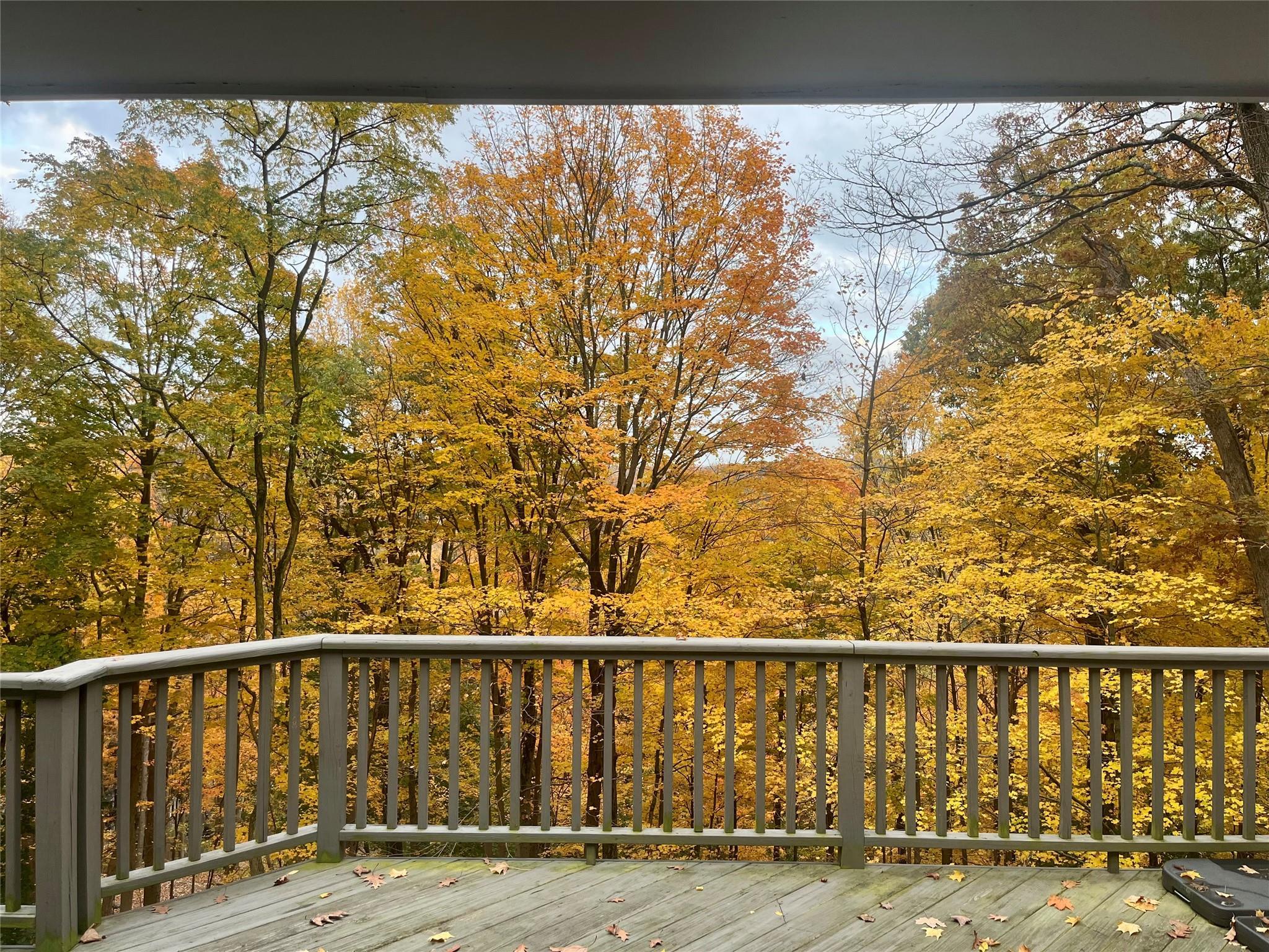 Single Family Hamilton  Westchester County, NY 10514, MLS-844404-26