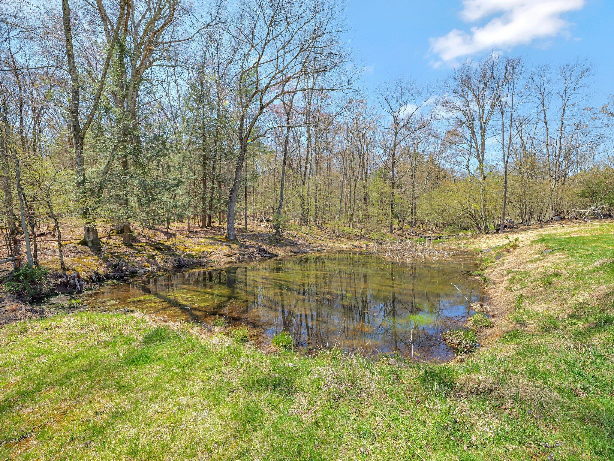 Single Family York Lake  Sullivan County, NY 12719, MLS-844430-22