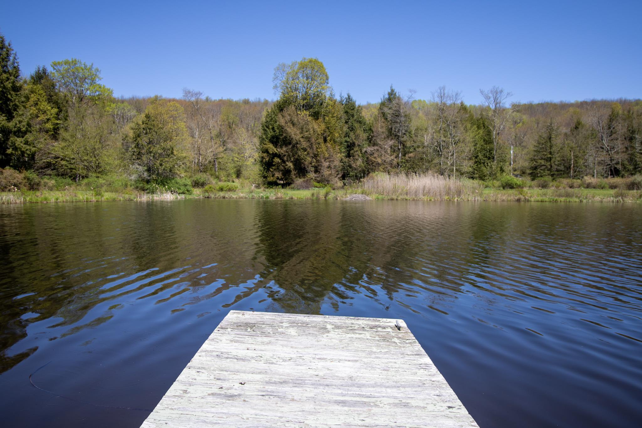 Single Family Glen Ellyn  Sullivan County, NY 12736, MLS-844526-39