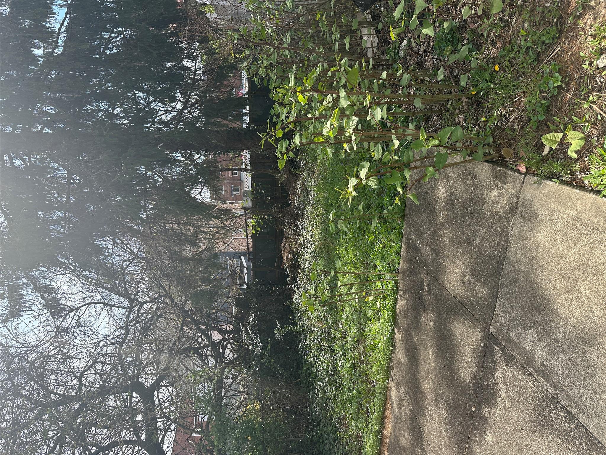 Single Family Howe  Bronx, NY 10473, MLS-844534-12