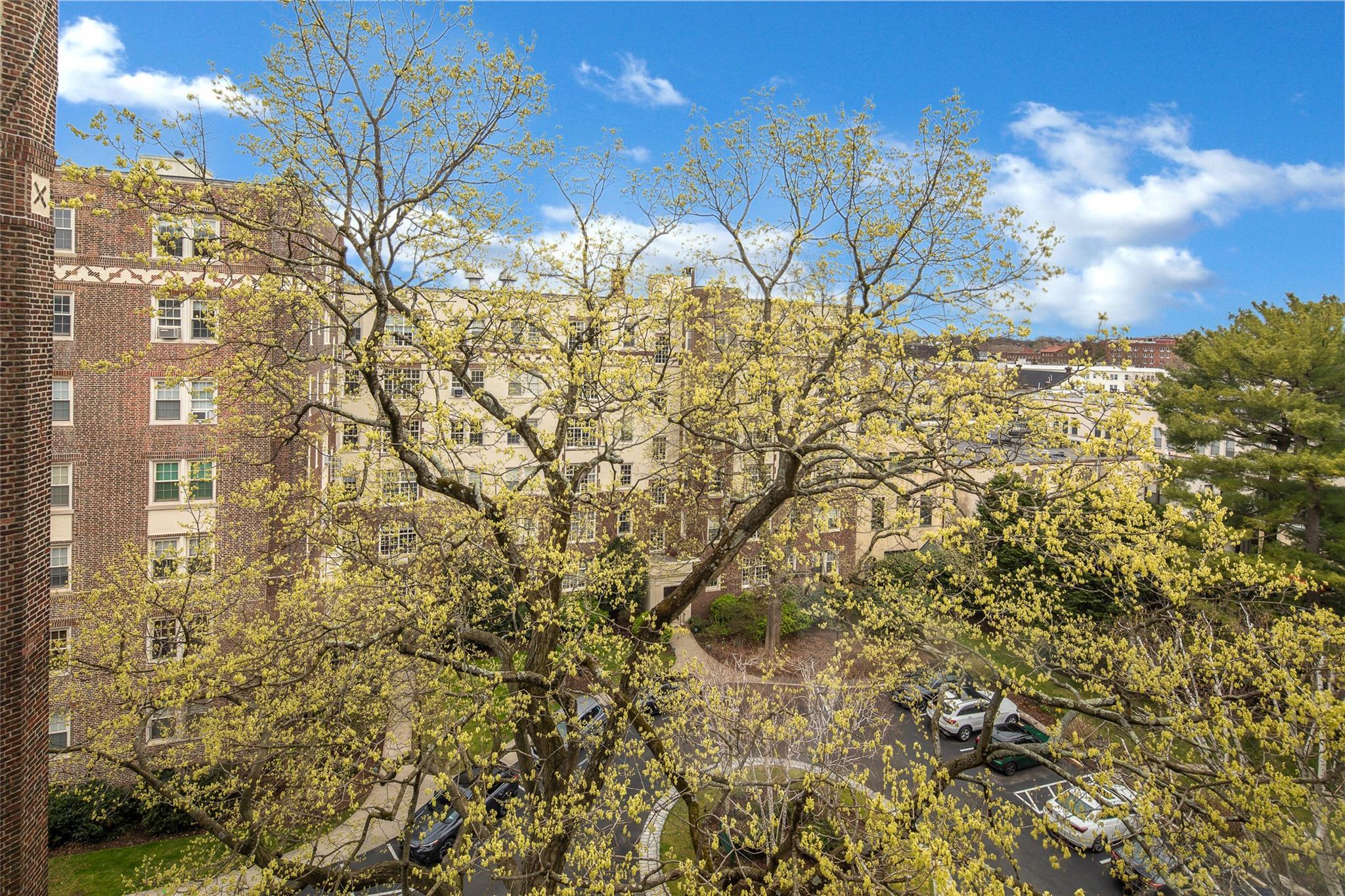 Coop Tanglewylde  Westchester County, NY 10708, MLS-844601-17