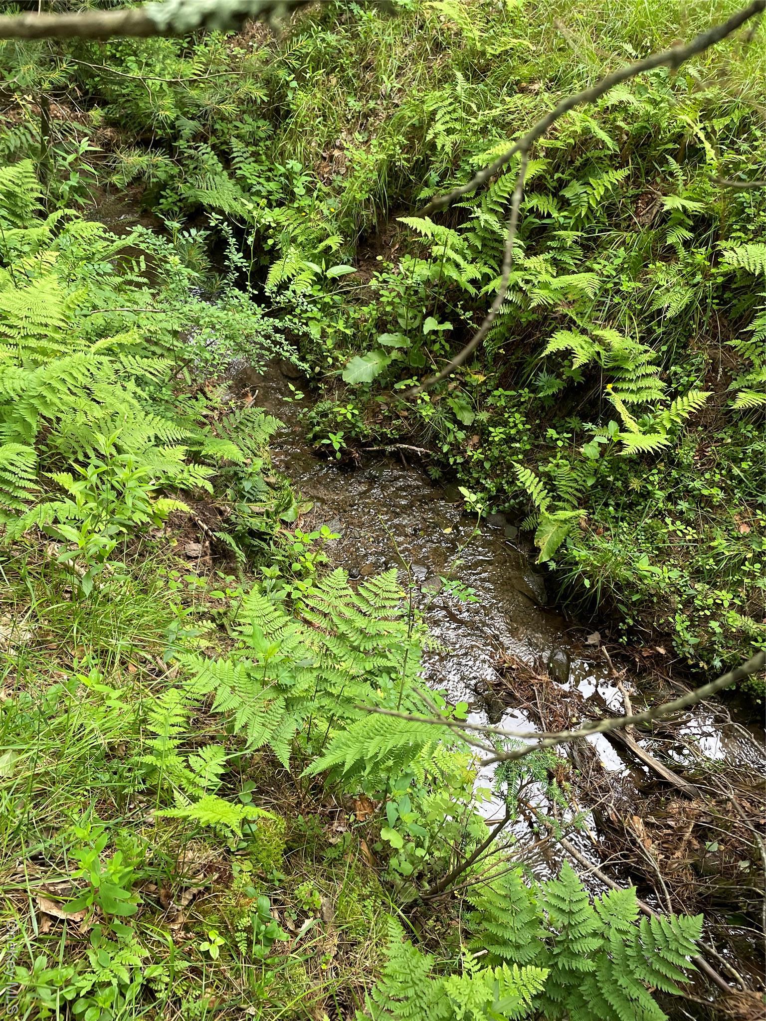 Single Family County Road 114  Sullivan County, NY 12726, MLS-844894-41