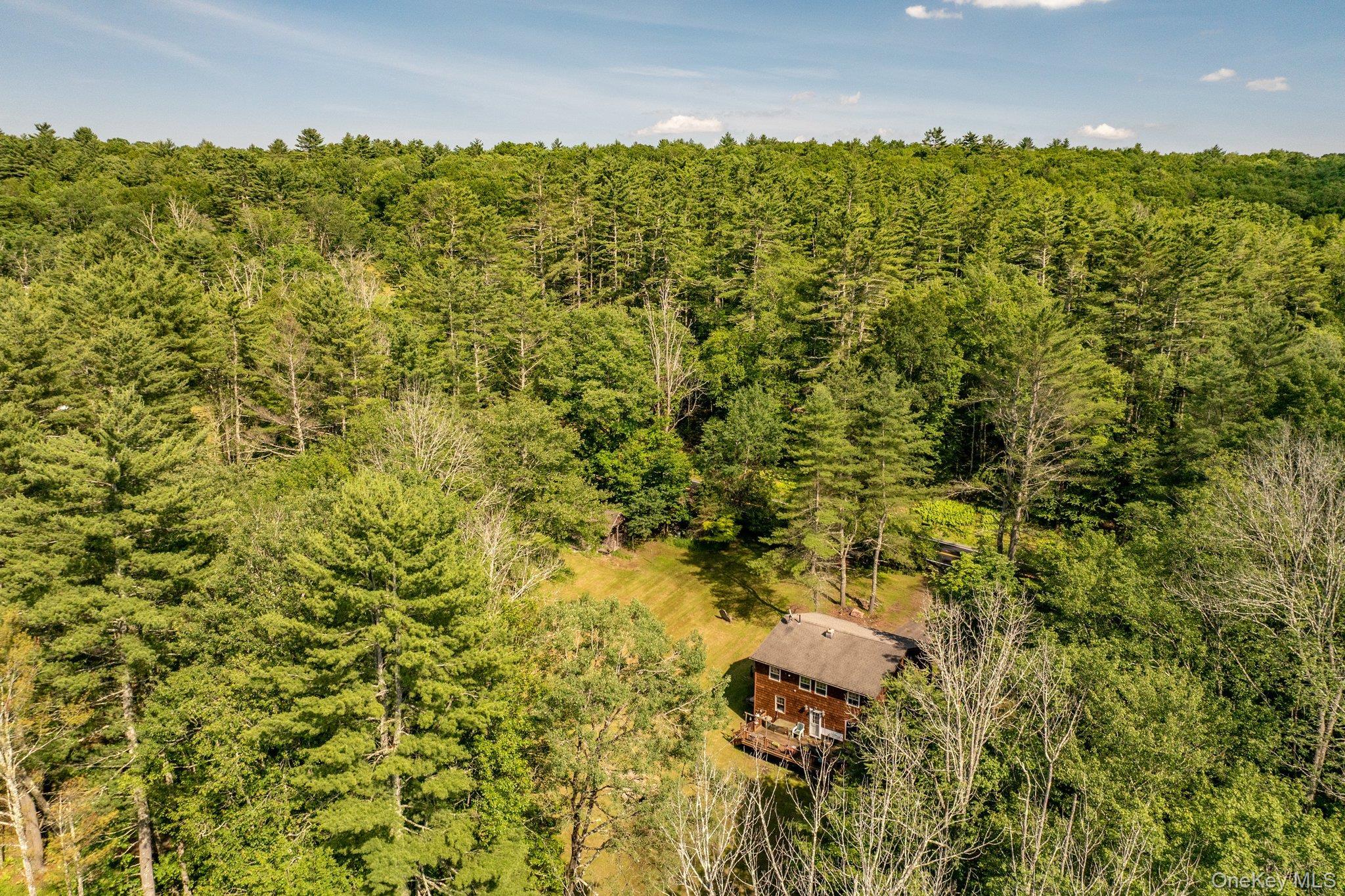 Single Family County Road 114 Sullivan County, NY 12726, MLS-844894-5