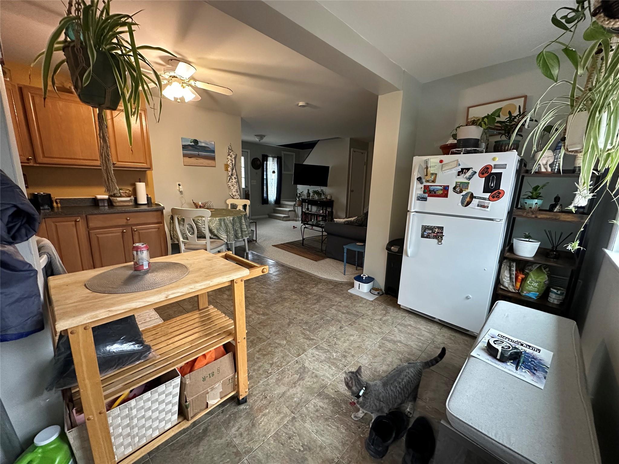 Single Family New Paltz  Ulster County, NY 12528, MLS-844941-7