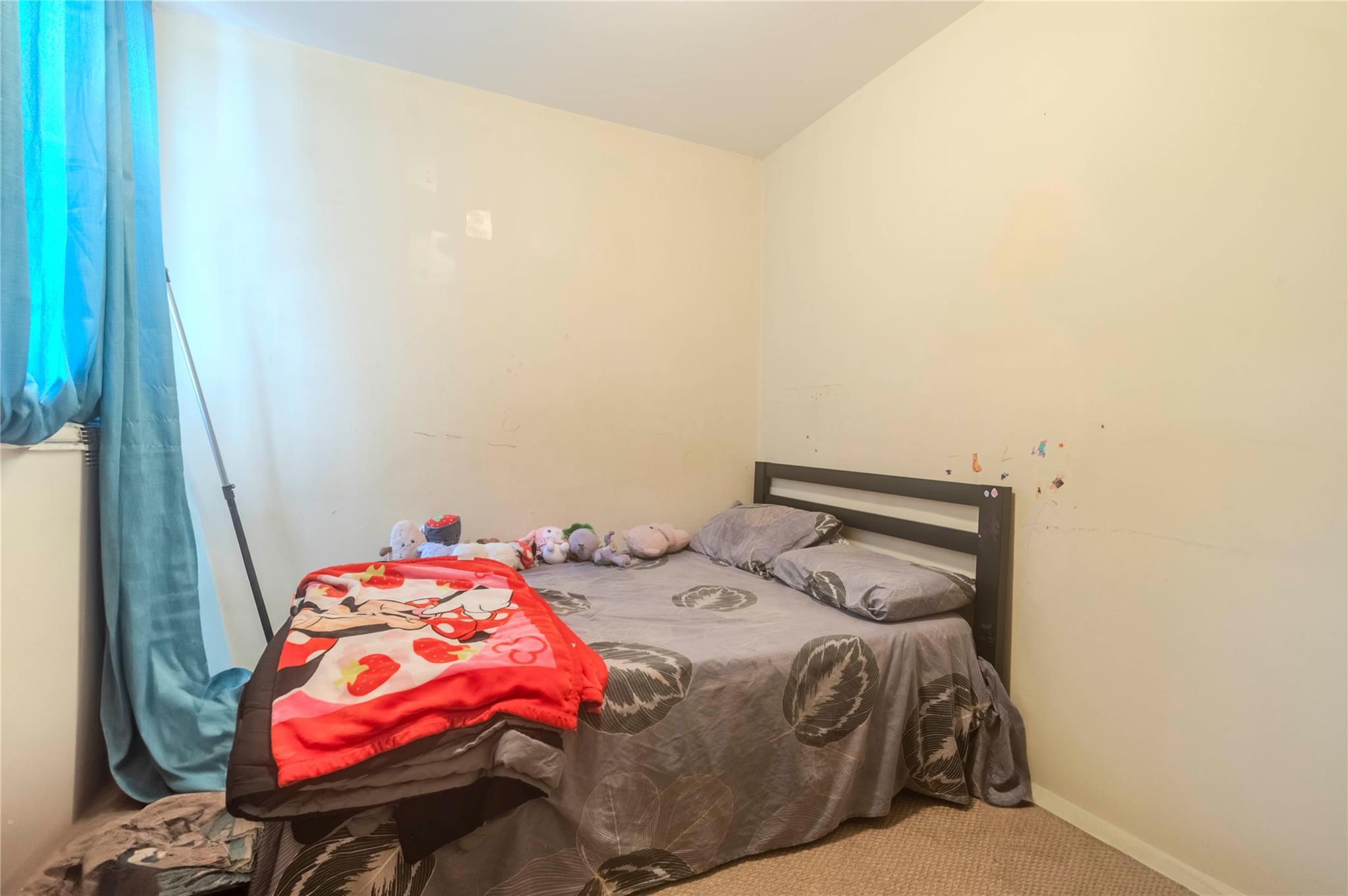 Single Family Crescent  Brooklyn, NY 11208, MLS-844973-10